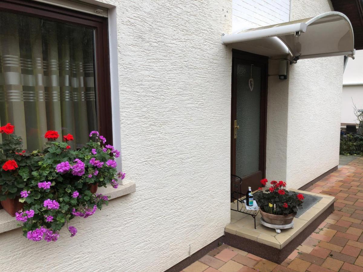 Ze-2020-7-wz Apartment Heidelberg